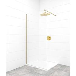 Sprchová zástěna walk-in / dveře 90 cm SAT Walk-In SATBWI90PRMO